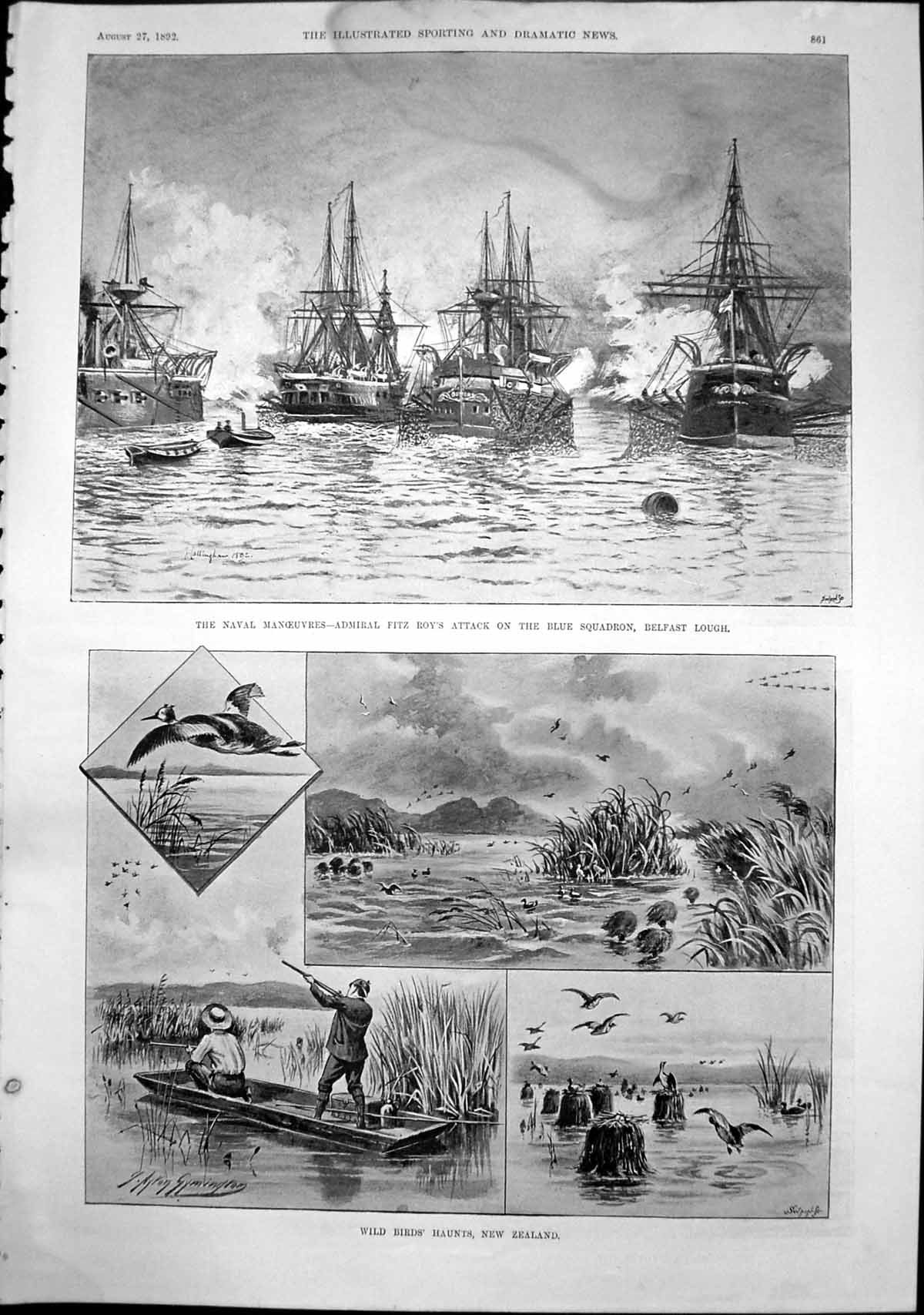 Antique Print Wild Birds Haunts New Zealand Madame Trebelli Shacklock 1892 19th