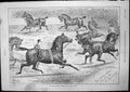 Original Old Antique Print Thoroughbred Hackney Hunter Show Sturgess 1893 19th