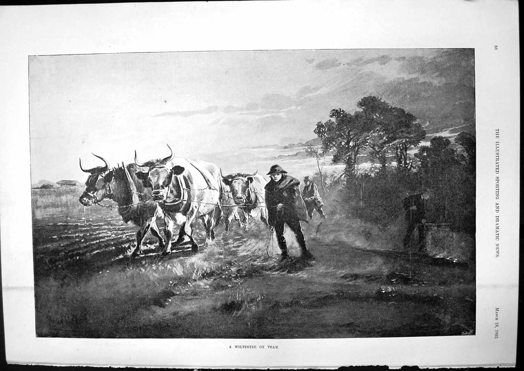 Antique Print Wiltshire Ox Team Exhibits Chicago Shakespearian Casket 1893 19th