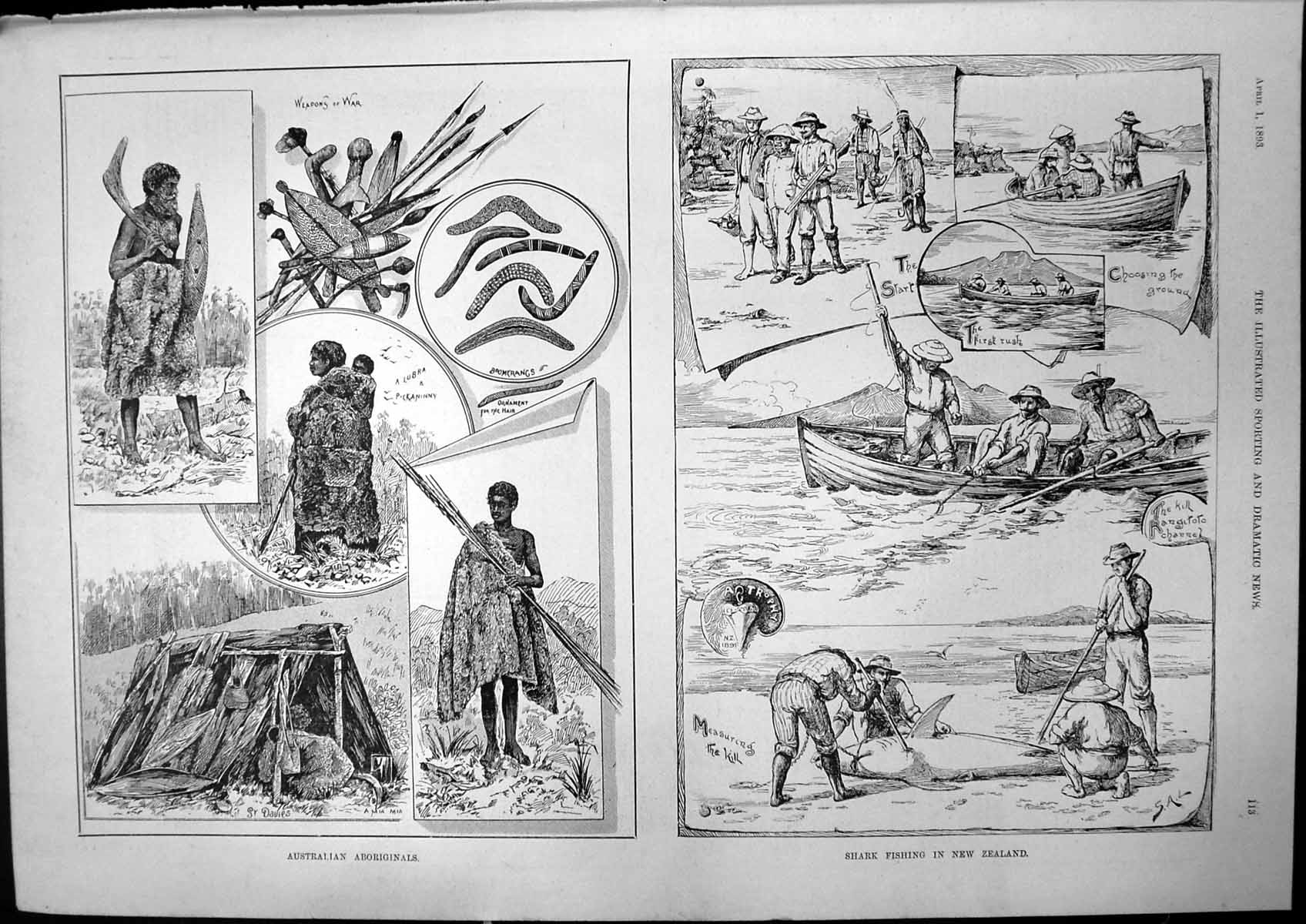Old Antique Print Australian Abs Shark Fishing New Zealand Rangitoto 1893 19th