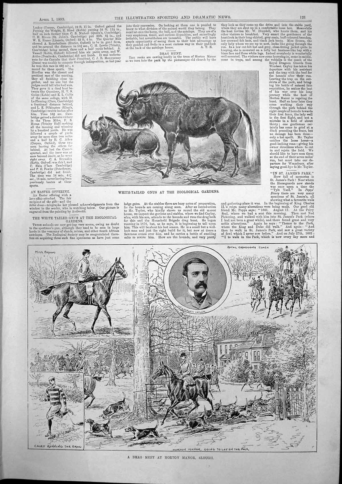 Old Print Gnus Zoo Drag Meet Horton Manor Slough Lincoln Spring Meet 1893 19th