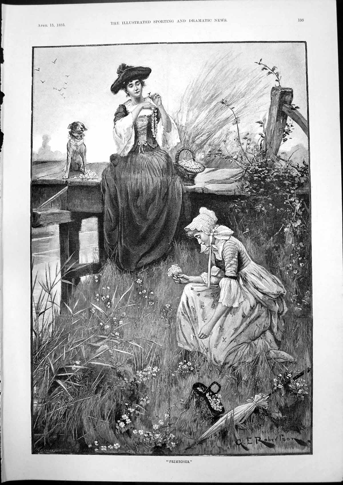Antique Old Print Primroses Ge Robertson Portsmouth Road Cobham Hindhead 1893
