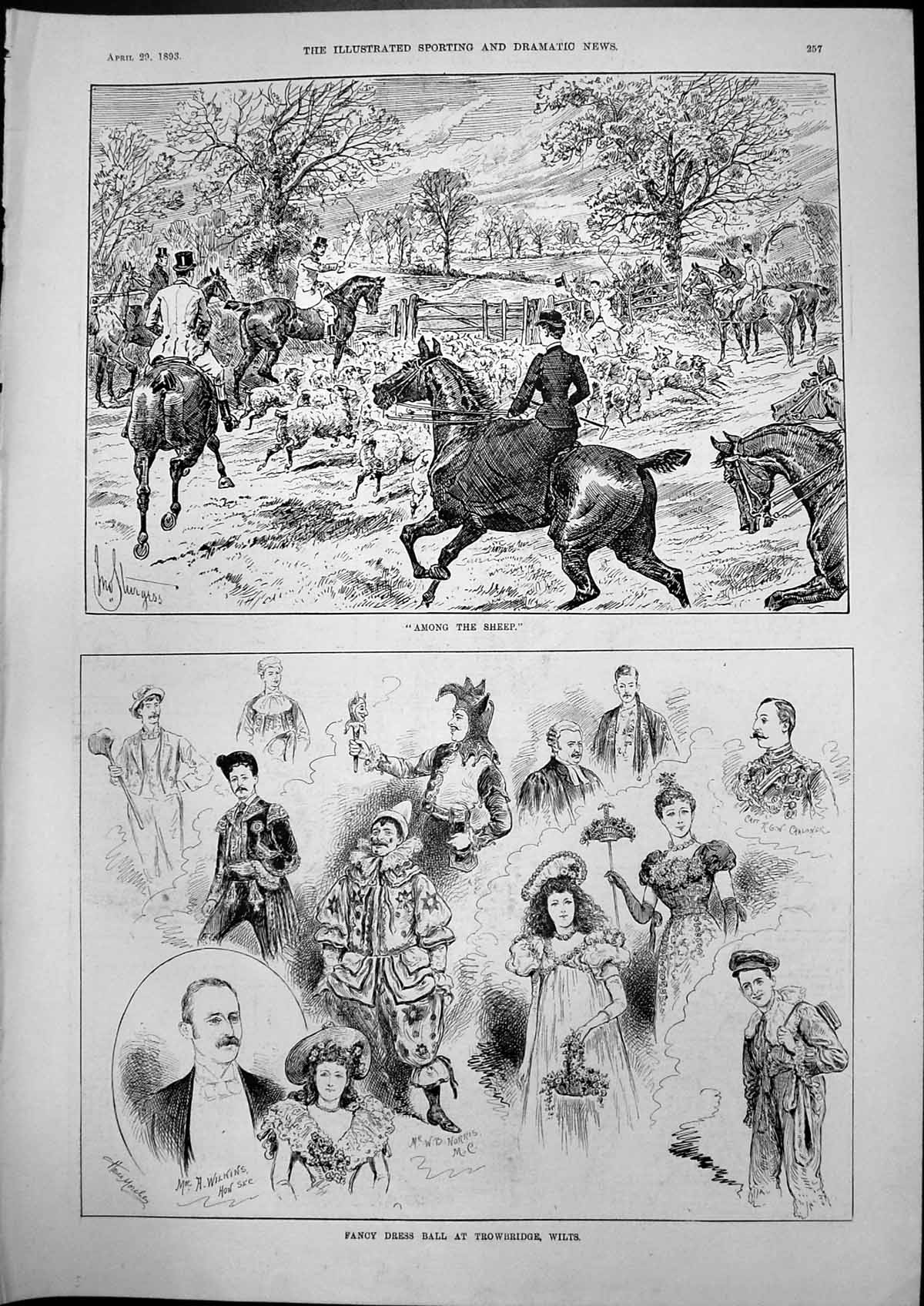 Old Fancy Dress Ball Trowbridge Wilts Among Sheep Horses Sturgess 189 Victorian