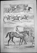 Antique Old Print Two Thousand Guineas W Hayward Cycling Champion N Z 1893 19th