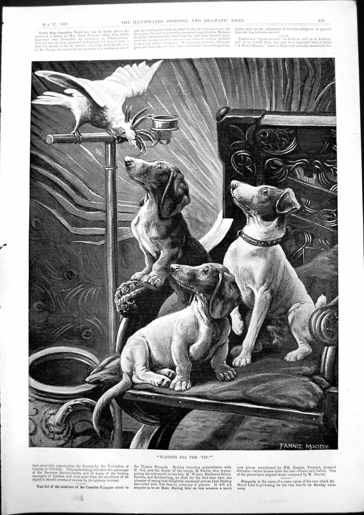 Old Print Waiting For Tip Three Dogs Chair Parrot Perch Fannie Moody 1893 19th