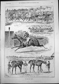 Old Antique Print GCup Ascot Marcion Winner Buccaneer Orvieto Lame 1893 19th