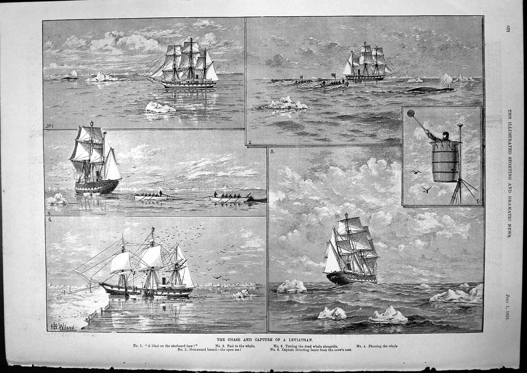 Old Chase Capture Leviathan Towing Dead Whale Captain Directing 1893 Victorian