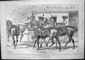 Old Meet Magazine Getting Ready Horses Race Queens Cup Thames Club189 Victorian