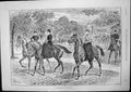 Old Print Different Styles In Row J Sturgess Three Riders Horseback 1893 19th