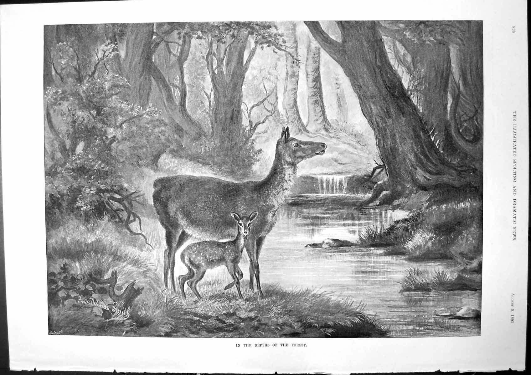 Antique Old Print In Depths Forest Thomas Smith Deer Fawn Stream Forest 1893