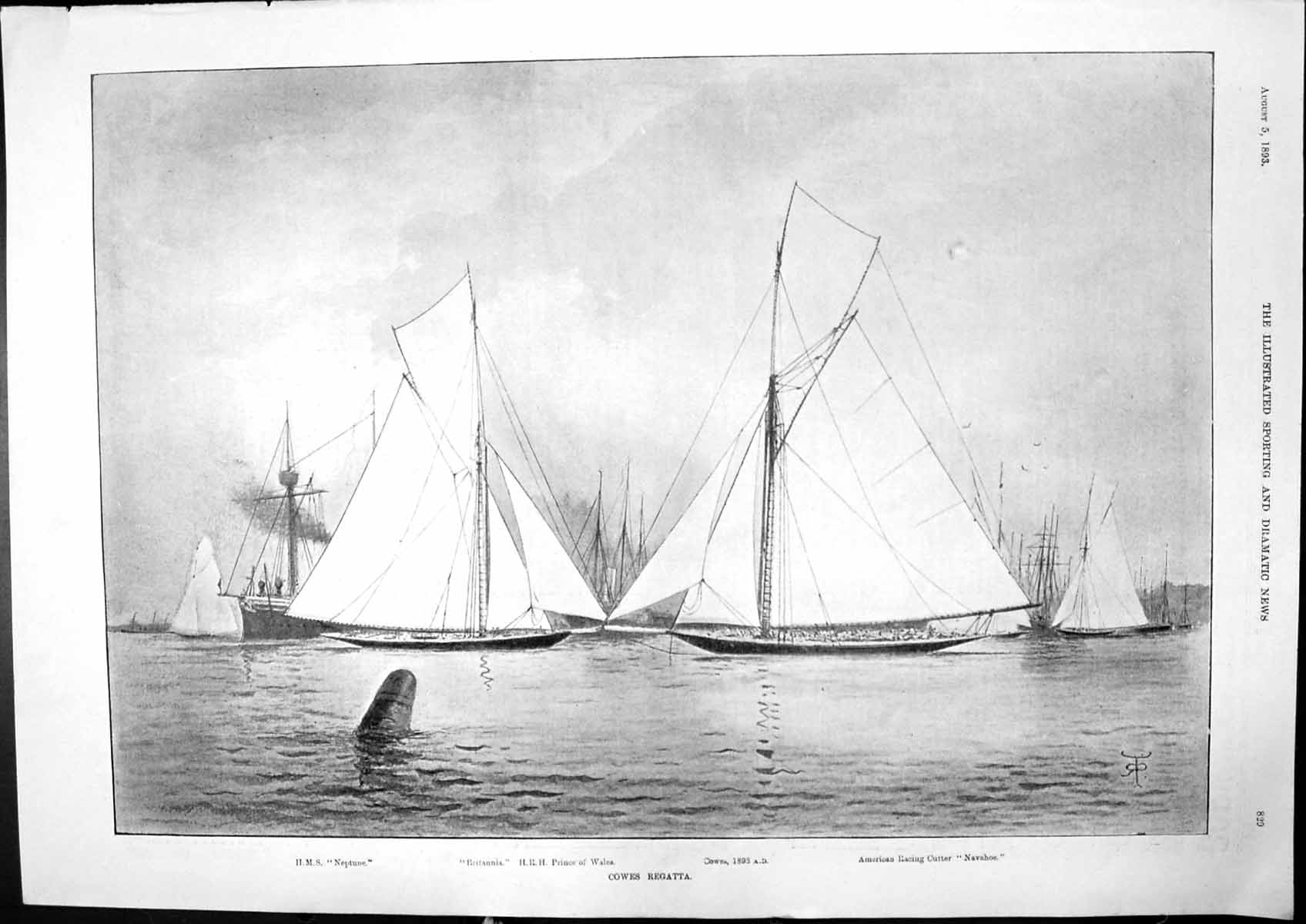 Antique Old Print Cowes Regatta Hms Neptune Britannia Hrh Prince Wales 1893