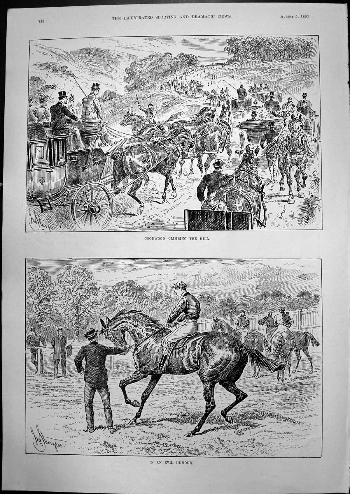 Old Goodwood Climbing Hill In Evil Humour Horse Rebelling Sturgess 18 Victorian