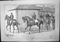 Old Going Exercise Horses Sturgess Cricket Australia V UniversitiesVictorian