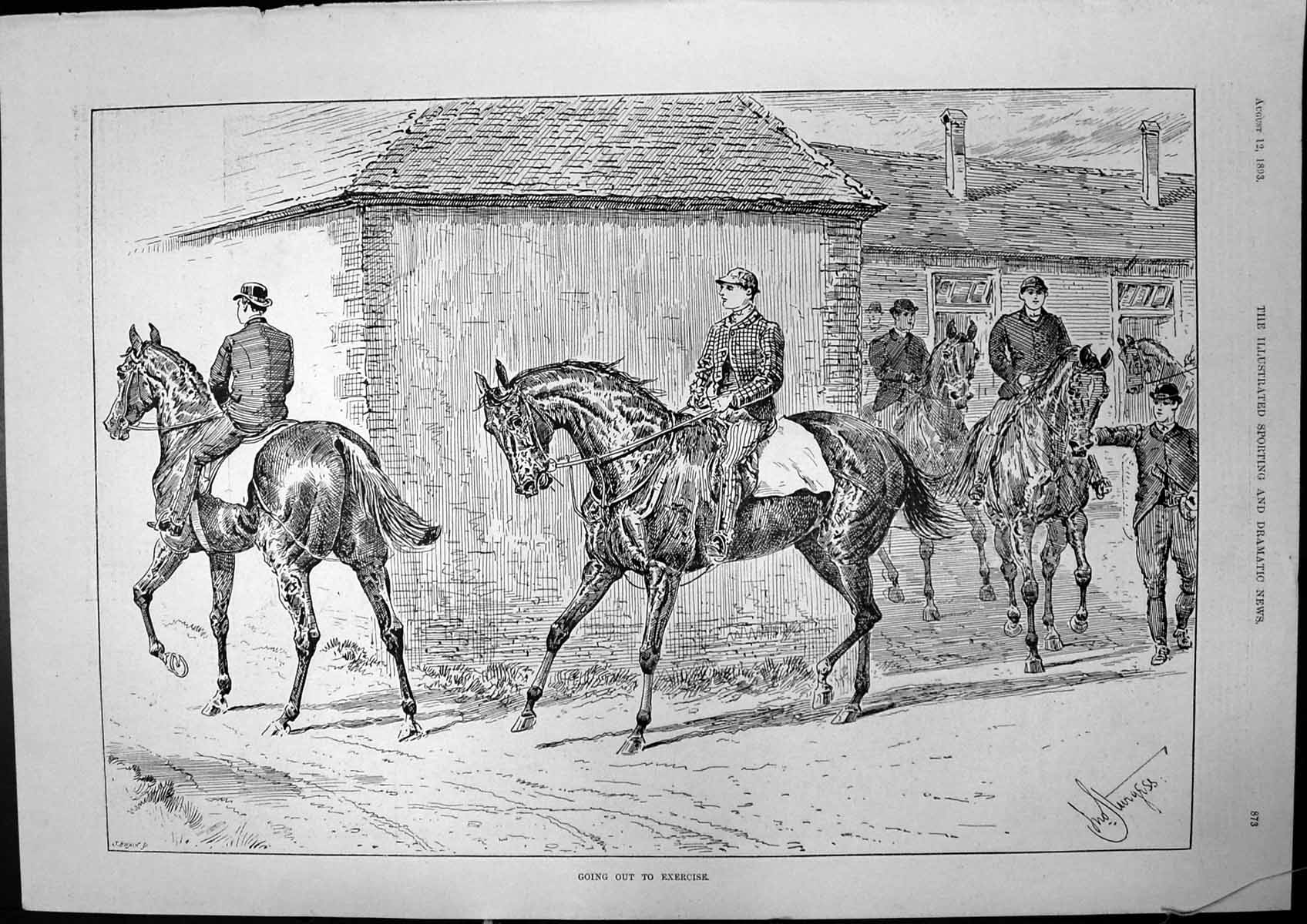 Old Going Exercise Horses Sturgess Cricket Australia V UniversitiesVictorian