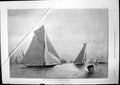 Original Old Antique Print Royal Albert Yacht Club Southsea 40 Raters 1893