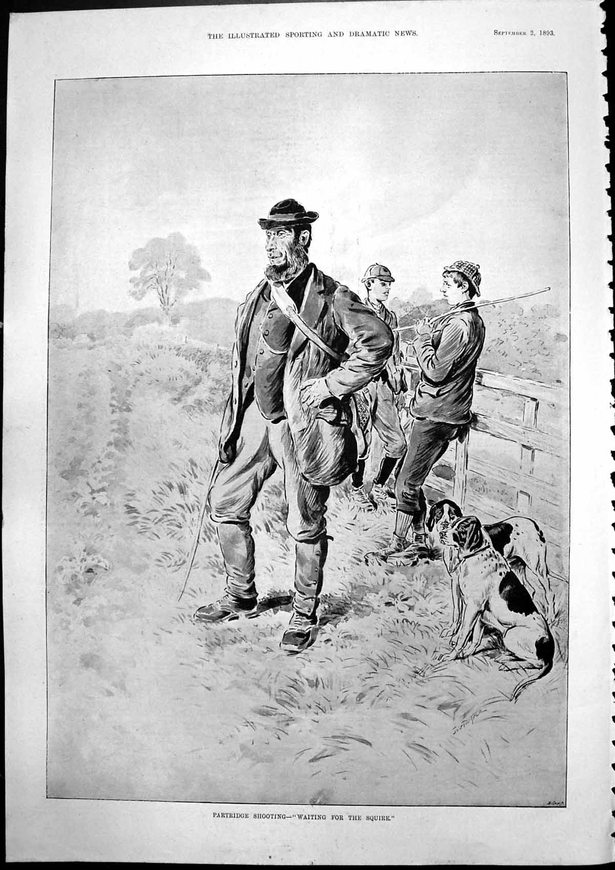Antique Old Print Partridge Shooting Waiting For Squire Shooters Dogs 1893 19th