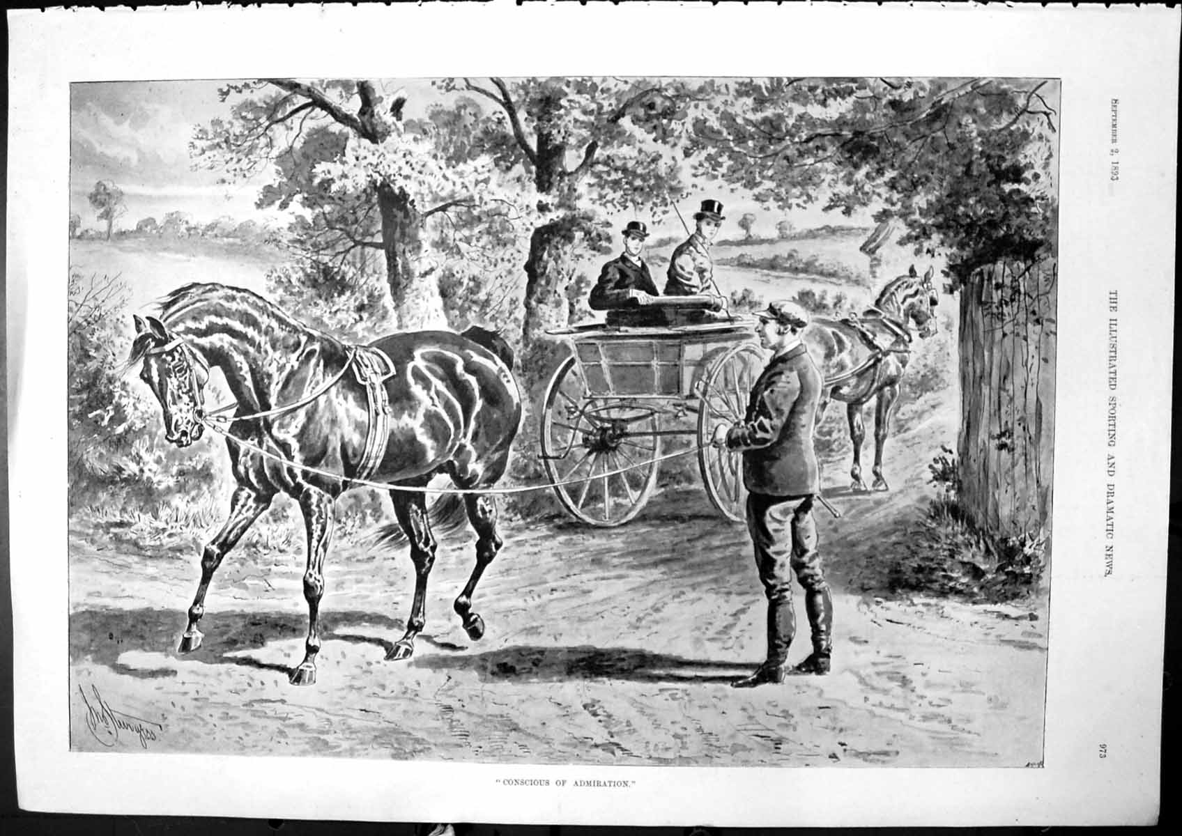 Old Conscious Admiration Sturgess Horses Clifton College Cricket 1893 Victorian