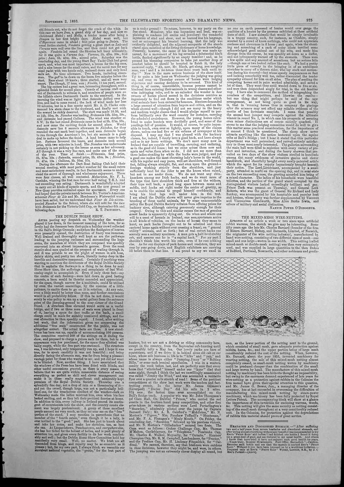 Old Print Mixed Mesh Wire Netting Used Rabbit Warrens Two Sizes Mesh 1893 19th