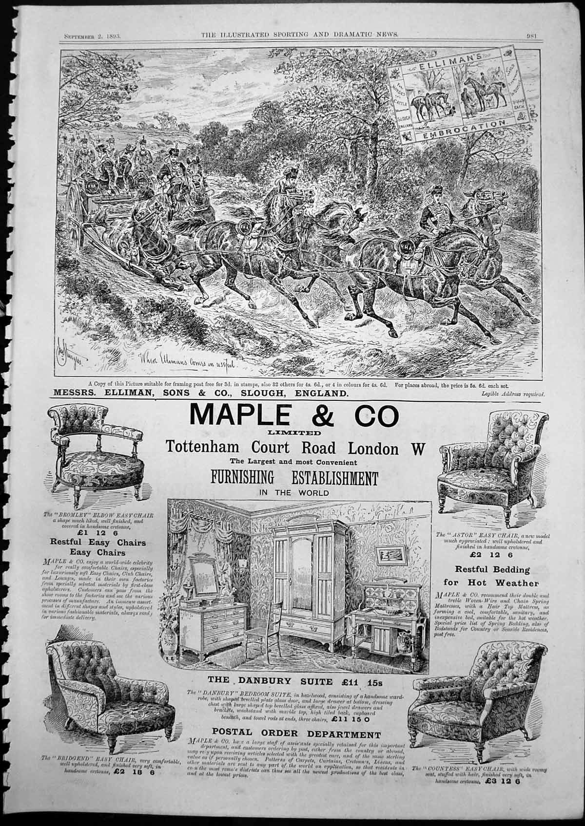 Antique Print Ellimans Embrocation Horses Cattle Maple & Co Furnishing 1893