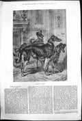 Original Old Antique Print Gentlemen In Waiting Three Dogs Waiting Door 1875