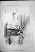 Original Old Antique Print Wildfowl Shooting French Coast 1875 19th