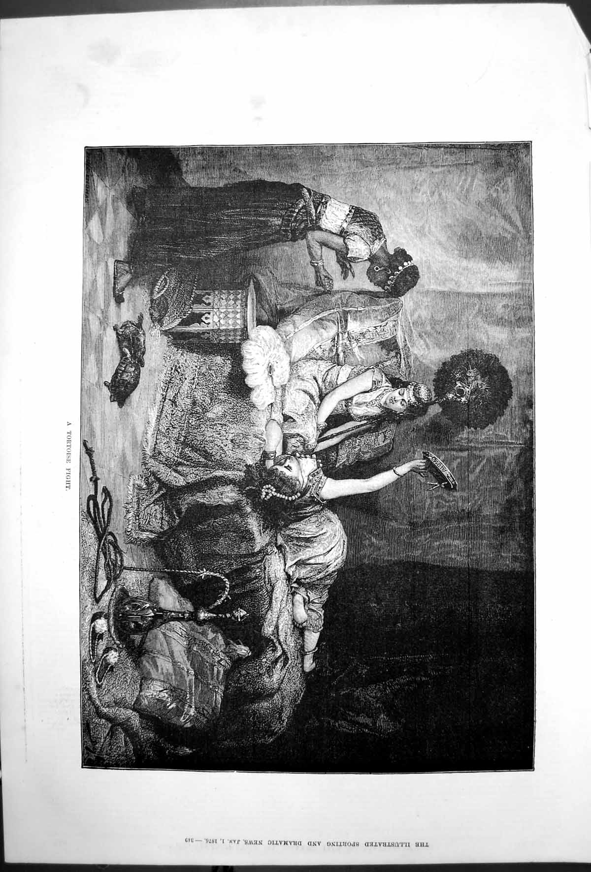 Original Old Antique Print Tortoise Fight Indian Ladies Look On Bed 1876 19th