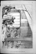 Antique Old Print Transfer Carnivora Zoological Societys Gardens Cage 1876 19th