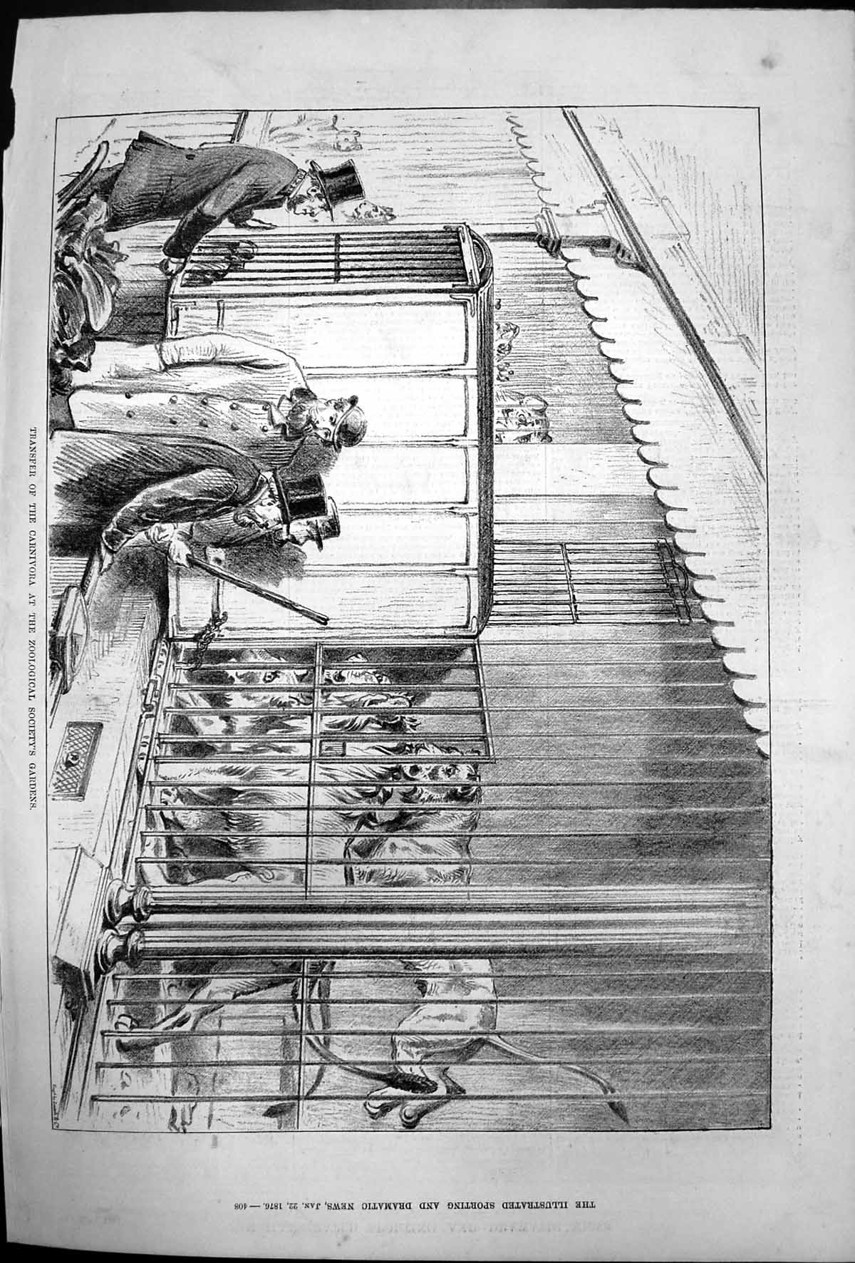 Antique Old Print Transfer Carnivora Zoological Societys Gardens Cage 1876 19th