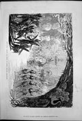 Old Antique Print Scene Aladdin The Great Princes Theatre Manchester 1876 19th