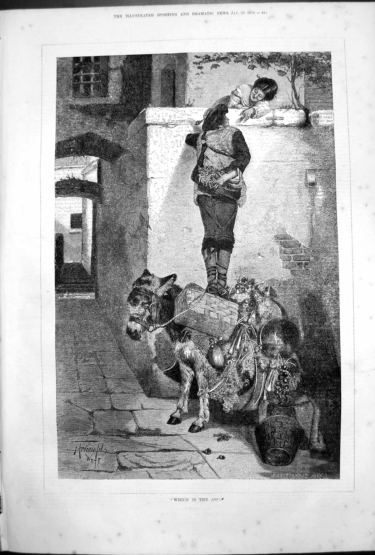 Old Print Which Is Ass Man Standing Donkeys Back Giving Flowers Lady 1876 19th