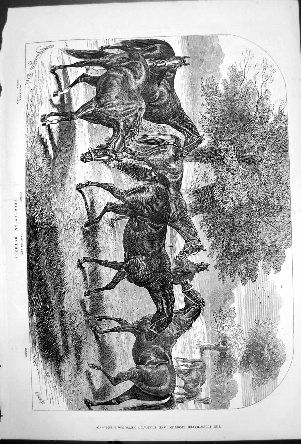 Old Belgravian Mothers J Sturgess Horses Martinique Jocosa Circe 1876 Victorian
