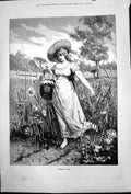Old Print Summer Days Young Woman Bare Feet Gathering Flowers Meadow1878 19th