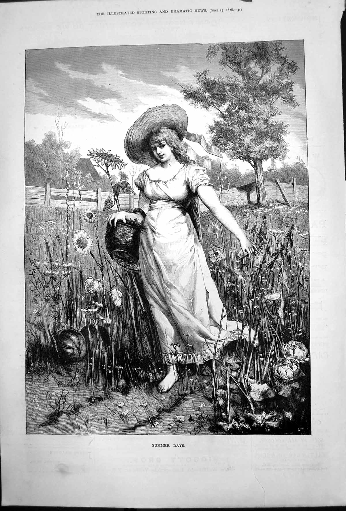 Old Print Summer Days Young Woman Bare Feet Gathering Flowers Meadow1878 19th
