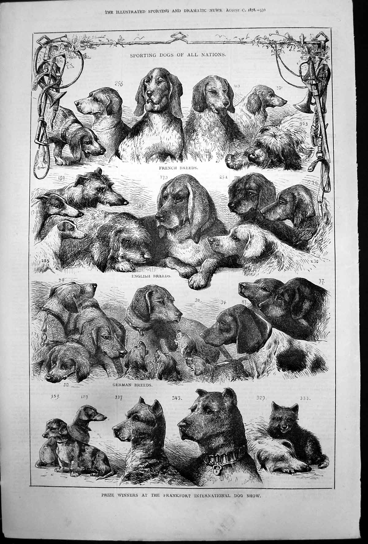 Old Prize Winners Frankfort International Dog Show Sporting Dogs 1878 Victorian