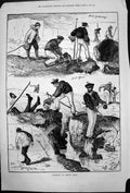Original Old Antique Print Prawning Beechy Head Bait Gathering Good Sport 1878