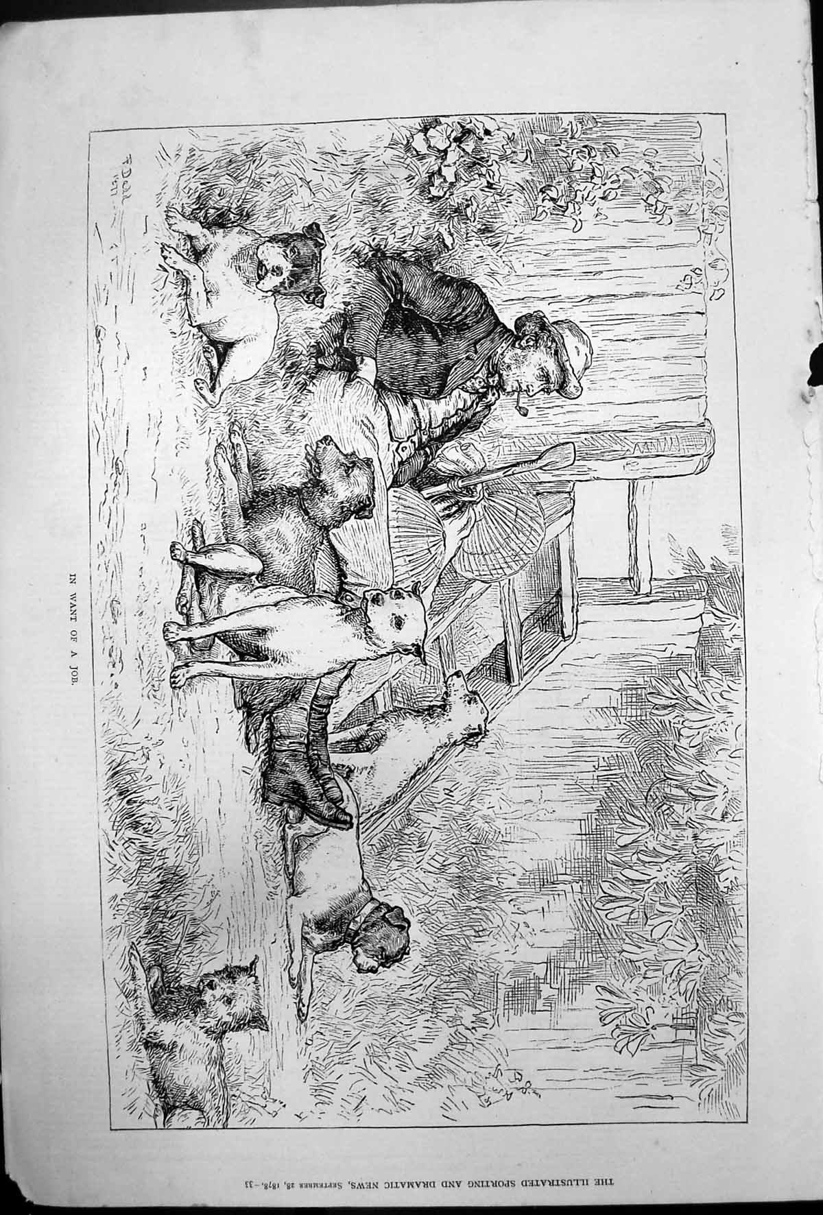 Antique Old Print In Want Job F Dadd Man Smoking Pipe Surrounded Dogs 1878 19th