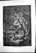 Original Old Antique Print Quiet Nook For Pheasants Tree Edge Water 1878 19th