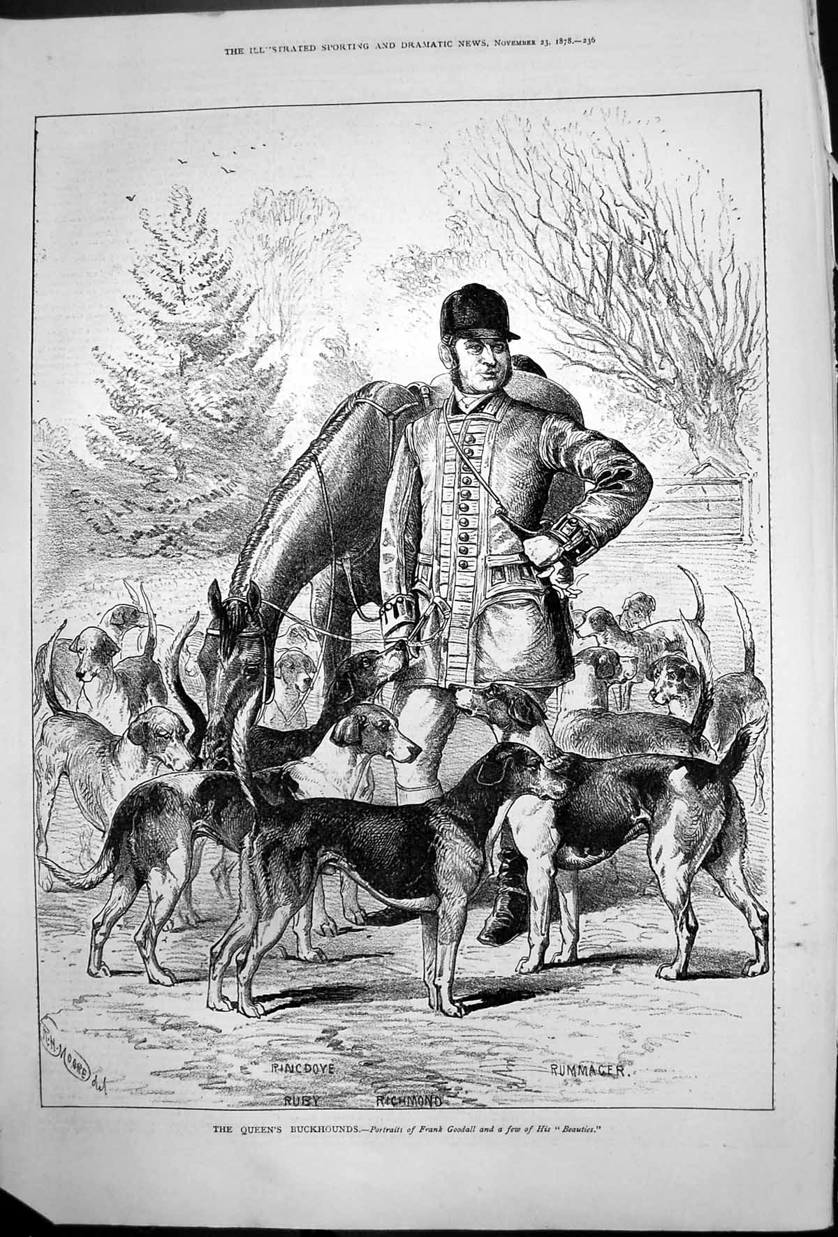 Antique Old Print Queens Buckhounds Frank Goodall Beauties Richmond Ruby 1878
