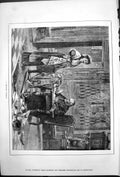 Antique Old Print Delicate Subject Lady Clergman Desk Cat Sitting Papers 1878