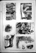 Antique Old Print Laurel Cottage Macleod Dare Chandos Poets Our Village 1878