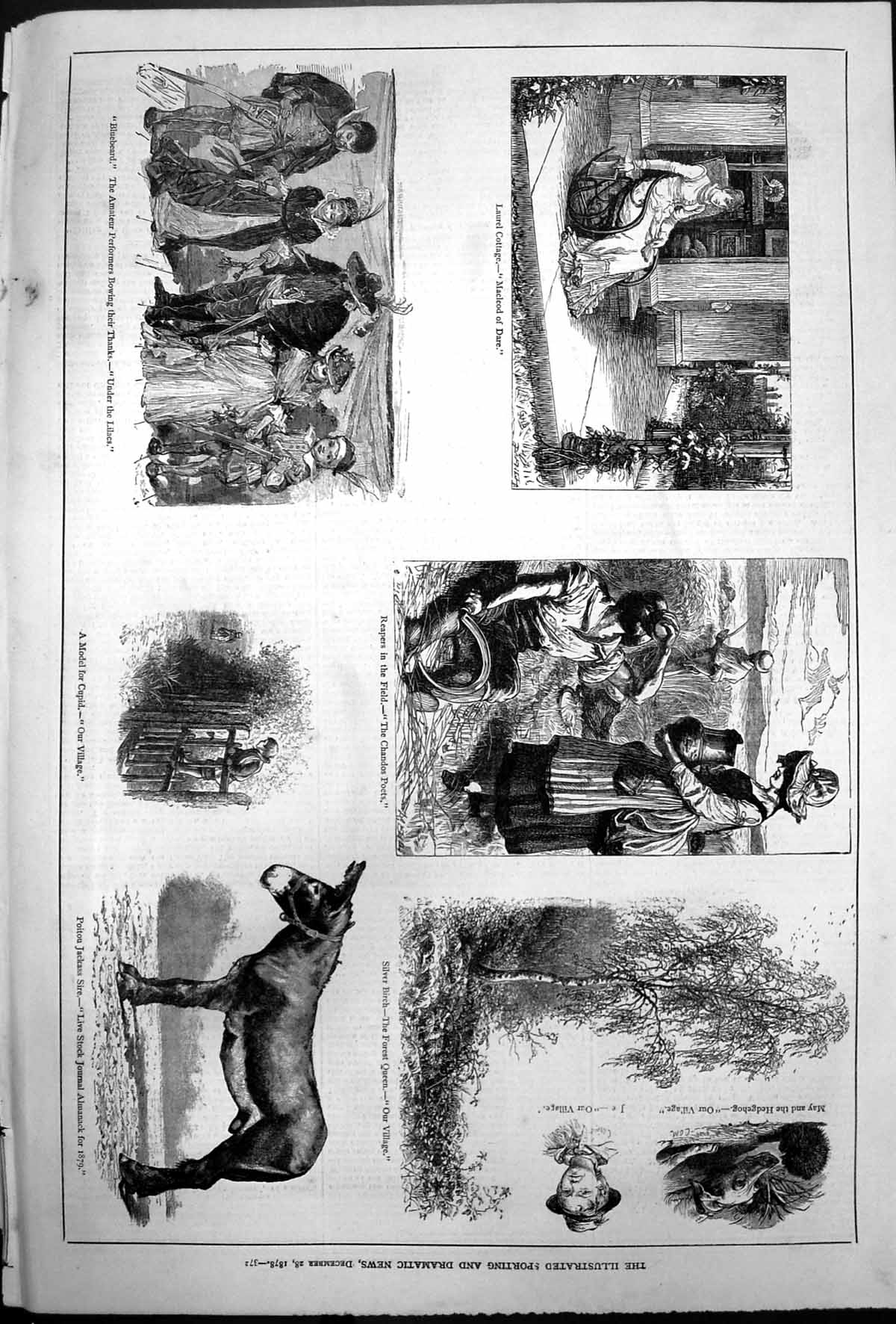 Antique Old Print Laurel Cottage Macleod Dare Chandos Poets Our Village 1878