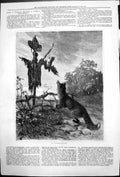 Original Old Antique Print Scarecrow Fox Looking Scarecrow Countryside 1879