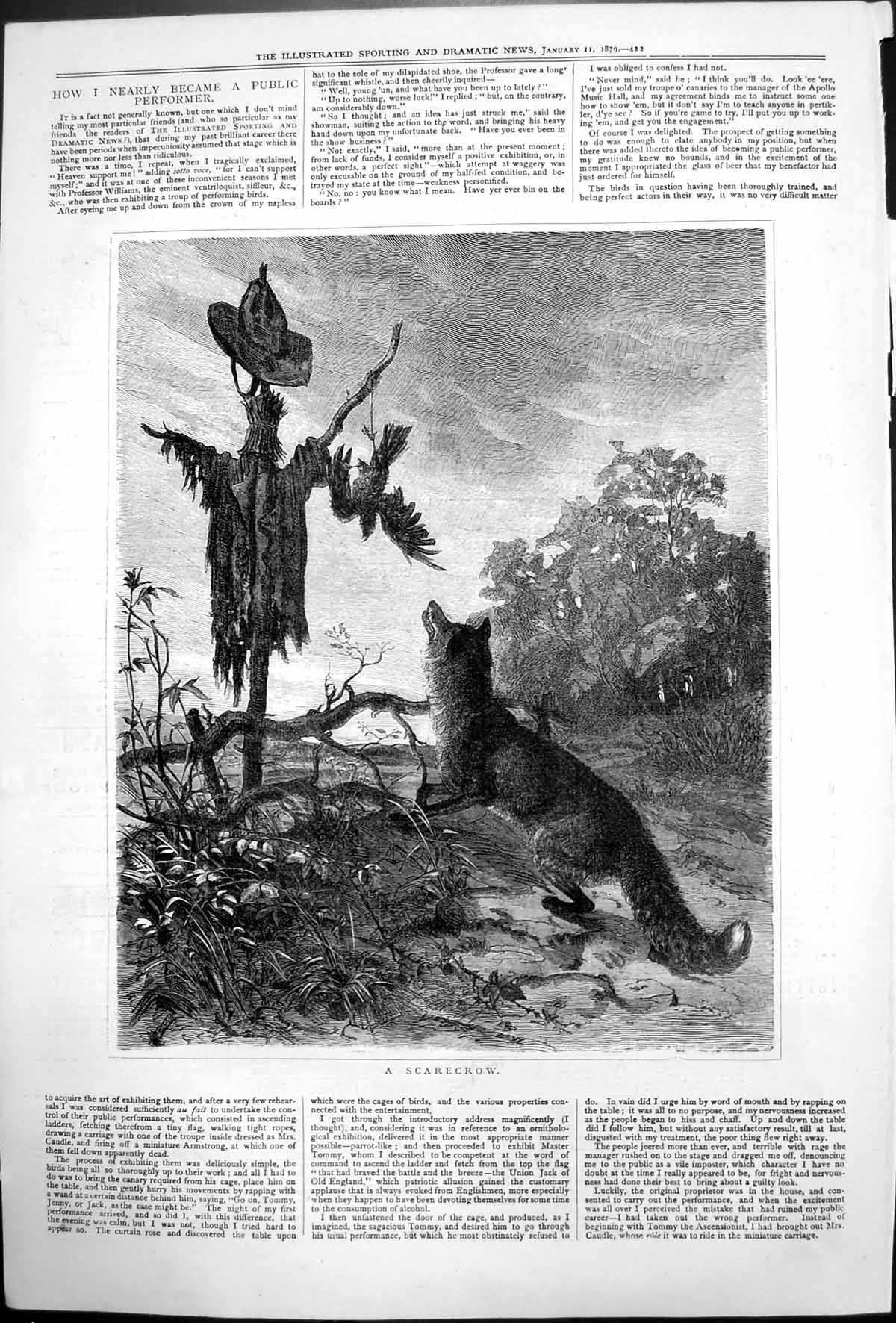 Original Old Antique Print Scarecrow Fox Looking Scarecrow Countryside 1879