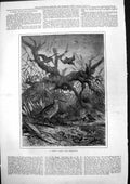 Old Antique Print Likely Place For Woodcock Under Dead Branch Tree 1879 19th