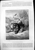 Original Old Antique Print Monarch Waste Gustave Dore Lion Growling 1875 19th