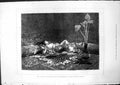 Antique Print Odalisque From Picture Exhibition Naples Eduardo Tofano 1875 19th