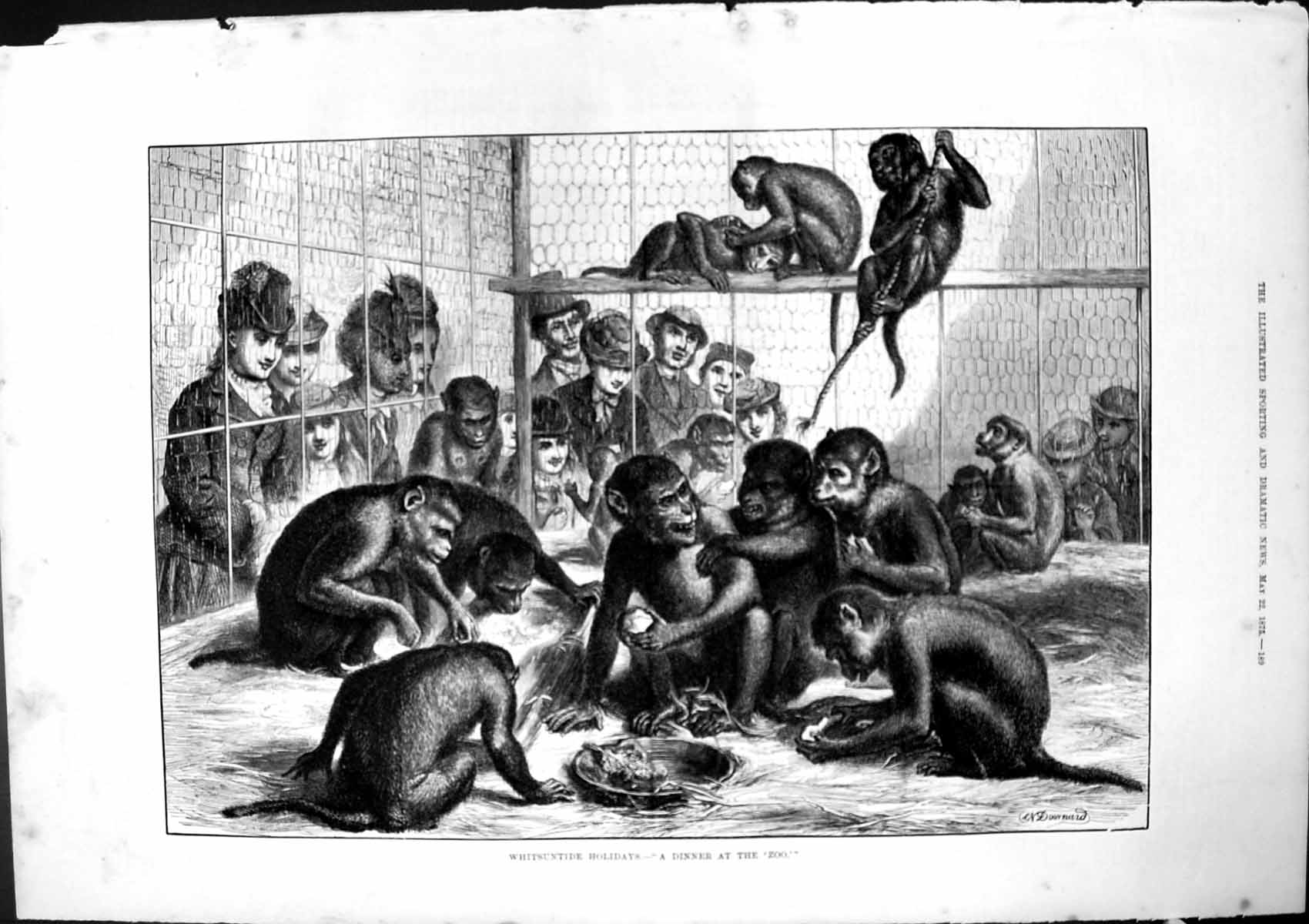 Original Old Antique Print Whitsuntide Holidays Dinner At Zoo Monkeys 1875 19th