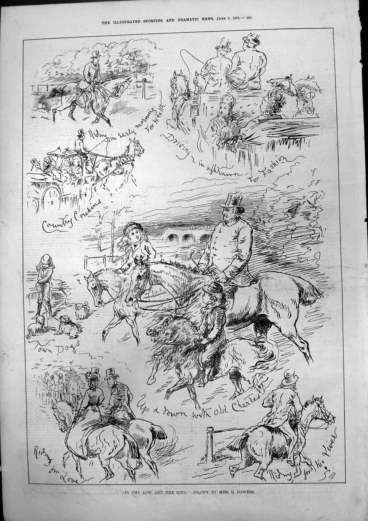 Old In Bow And Ring Miss G Bowers Riding Morning Driving Horses 1875 Victorian