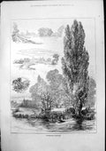 Antique Old Print Thames Side Sketches Alfred Dawson Twickenham Windsor 1875