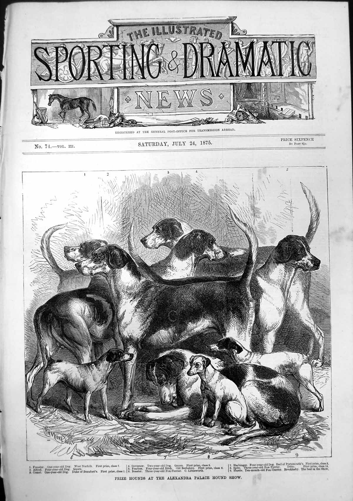 Antique Old Print Prize Hounds Alexandra Palace Hound Show Fox Terrier 1875